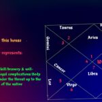 astrological & professional significance of 3rd house