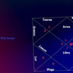 10th house in astrology