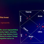 Things or professions ruled by 9th house in astrology