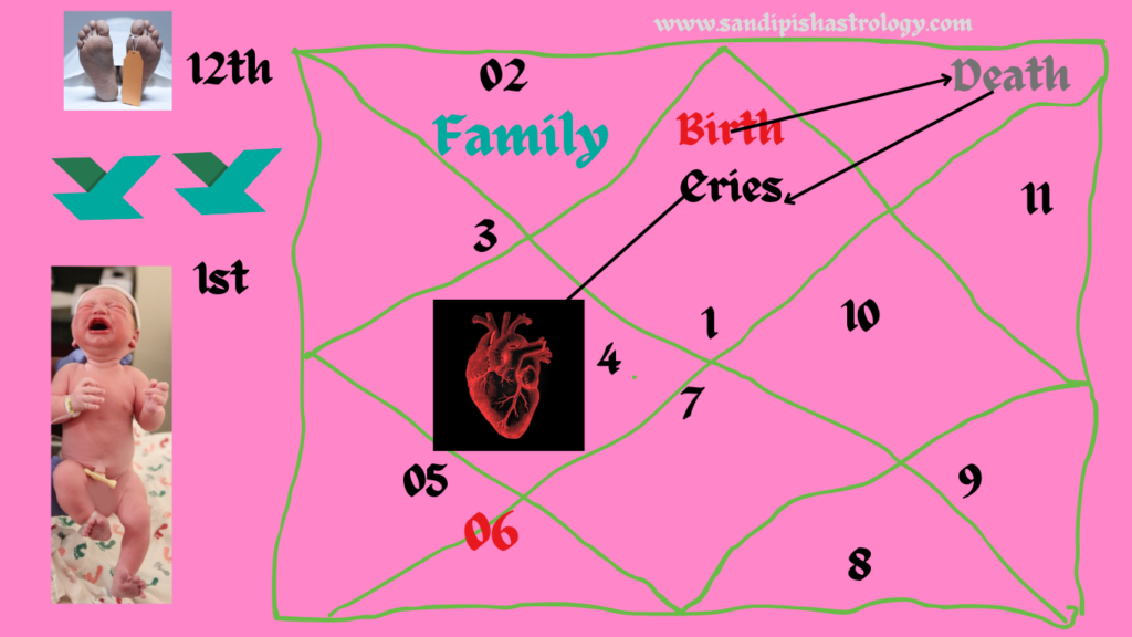 cycle of life and death